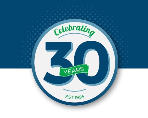WSI-30-Year-Anniversary-Digital-Marketing-Evolution
