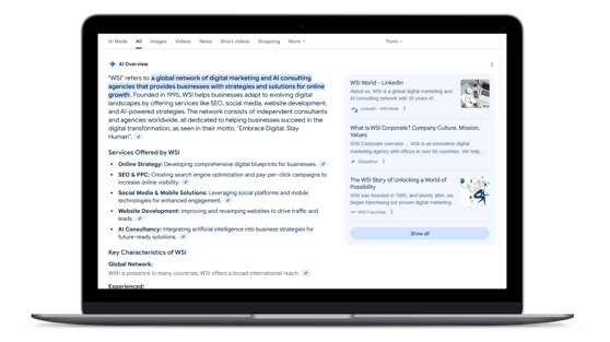 Figure 1 - Google AI Overview