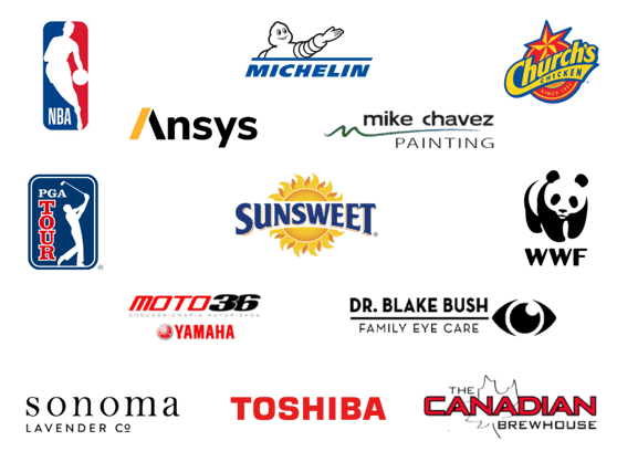 Logo Collage - WSI World